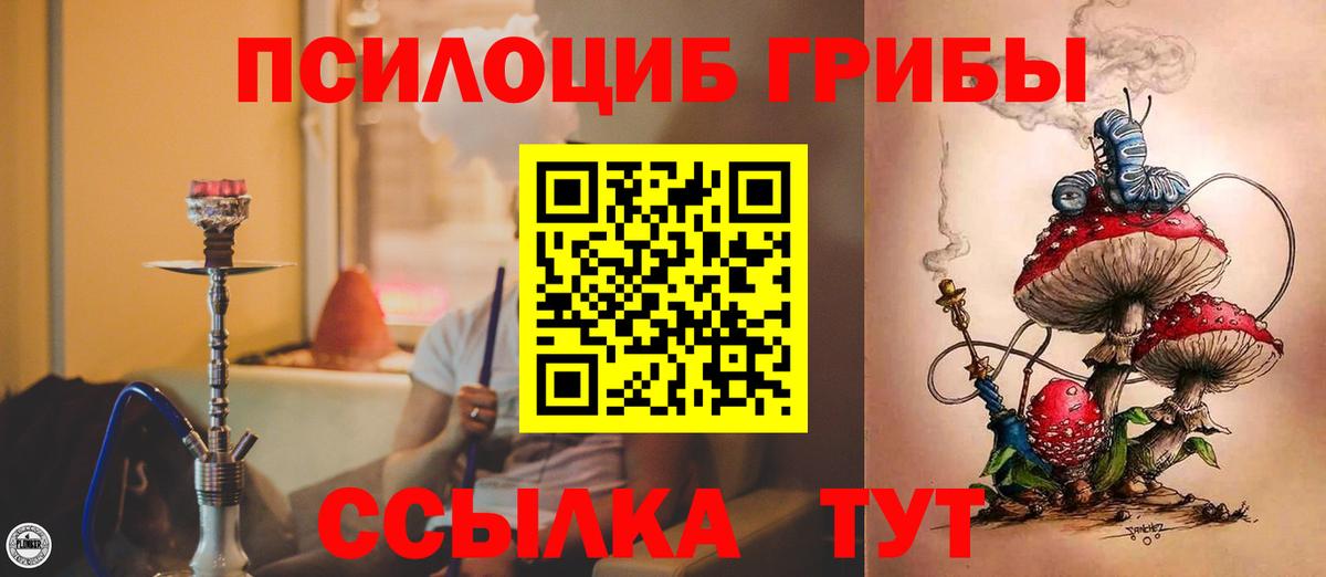 Галлюциногенные грибы Cubensis Джанкой