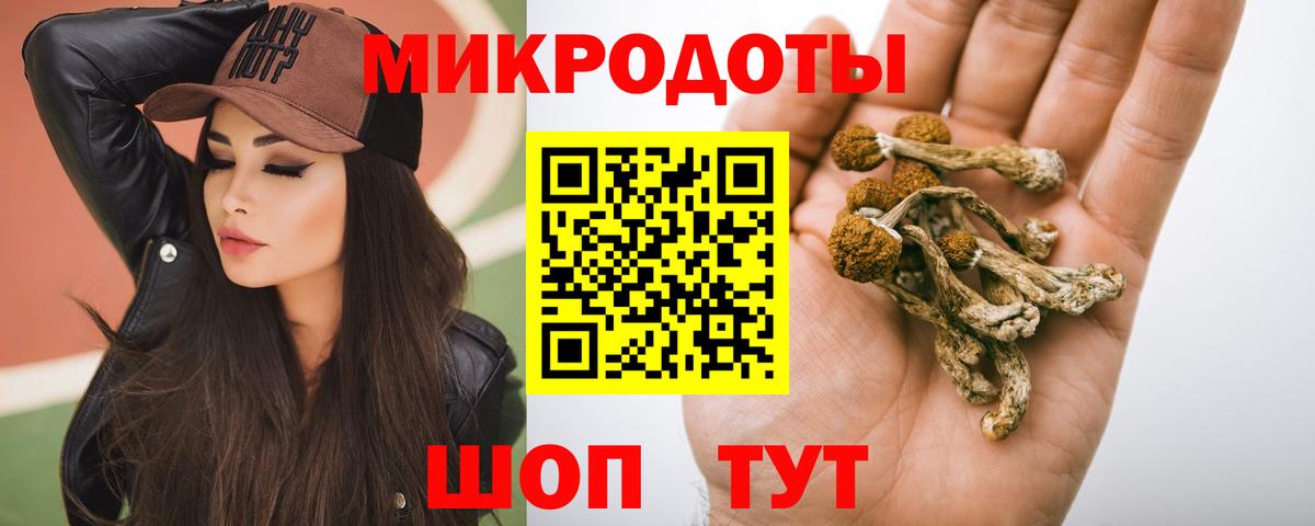 дарнет шоп  Псилоцибиновые грибы мухоморы  Псилоцибиновые грибы Psilocybe  Вход с VPN  Джанкой 